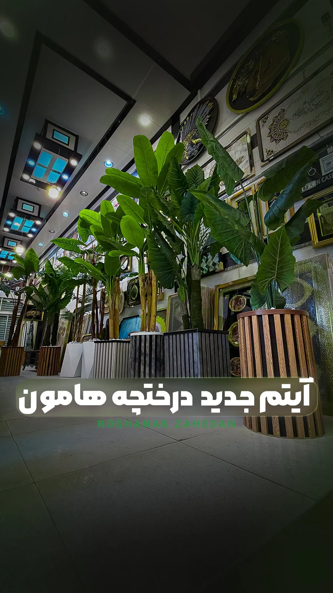 درختچه دکوری