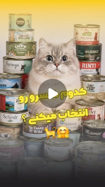 کنسرو غذای گربه
